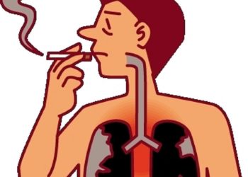 Sigaranın Vücuda Verdiği En Büyük Zarar