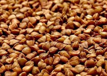 Karabuğday neden daha sağlıklı? İşte 10 nedeni!