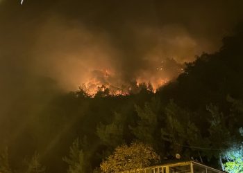 Bartın’da orman yangını çıktı: 4 kişi gözaltına alındı