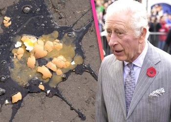 Kral III. Charles’a yumurtalı protesto