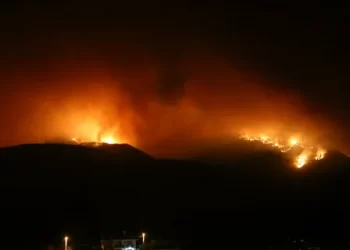 Gökçeada’da korkutan yangın