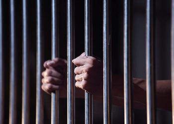 Bakan Bozdağ yeni ceza türlerini açıkladı