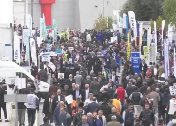 İstanbul Ticaret Odası Meslek Komitesi seçimleri tamamlandı