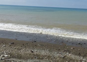 Karadeniz’de ‘ağır metal kirliliği’ tehlikesi!