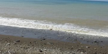 Karadeniz’de ‘ağır metal kirliliği’ tehlikesi!