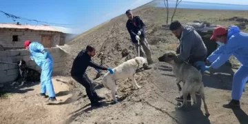 Bitlis’te kuduz olduğu anlaşılan çocuk yoğun bakımda
