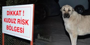 Adıyaman’da kuduz paniği!