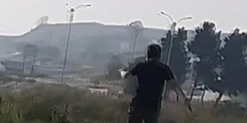 İstanbul’da ‘kaçak maymun’ paniği!