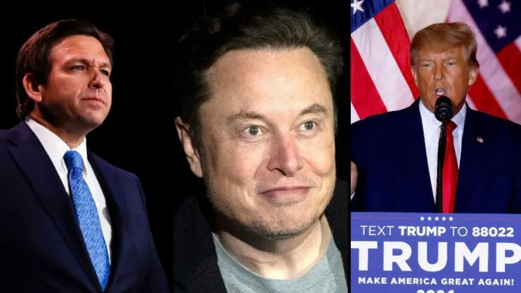 musk in adayi habermeydan