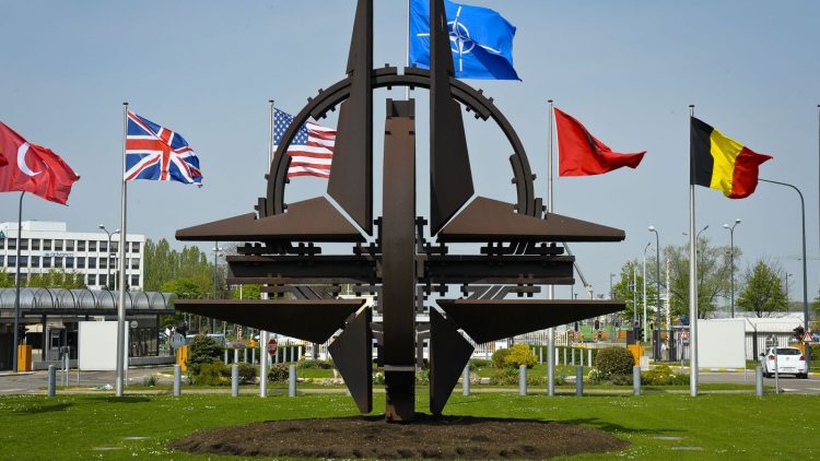 nato habermeydan