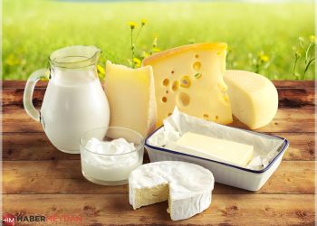Süt ve Peynir Üretimi Yüzde 4 Düştü!
