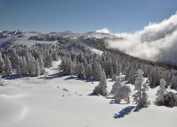Bursa’ya yılın ilk karı düştü: Vatandaşlar Uludağ’a koştu