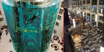 Berlin’de 1 milyon litrelik dev akvaryum patladı