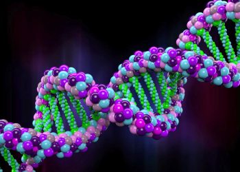 2 milyon yıllık DNA bulundu: Dünyanın en eski DNA örneği