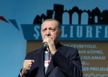 Cumhurbaşkanı Recep Tayyip Erdoğan pamuk ve ayçiçek üreticilerine müjdeyi verdi