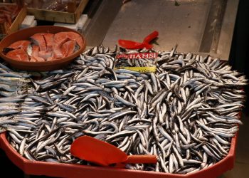 Hamsi yüzleri güldürdü: Fiyatı 20 TL’ye kadar indi