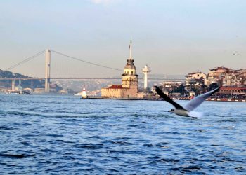 Büyük İstanbul depremi yolda mı?