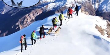 Tunceli’de dağcıları, ayıdan Kangallar kurtardı