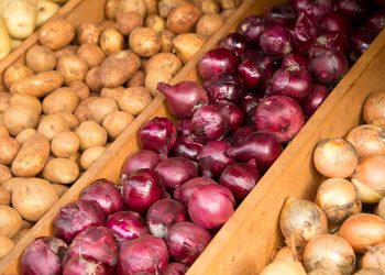 Dondurulmuş soğan ve patates ihracatı artık kayda bağlı