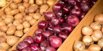 Dondurulmuş soğan ve patates ihracatı artık kayda bağlı