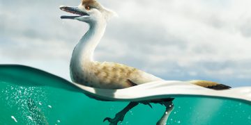 Yeni dinozor fosili keşfedildi: Penguen dinozor