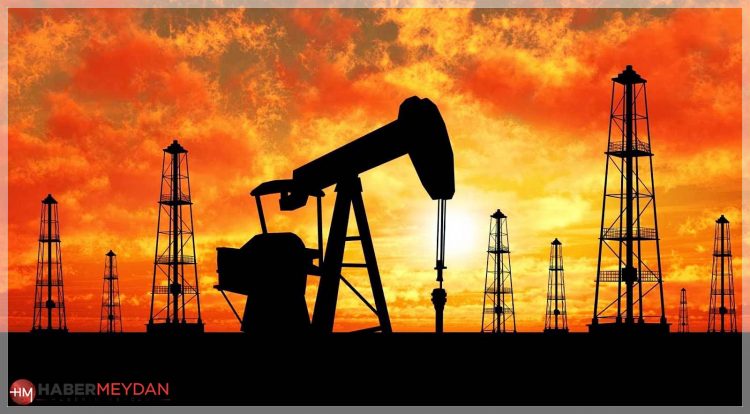 petrol 1