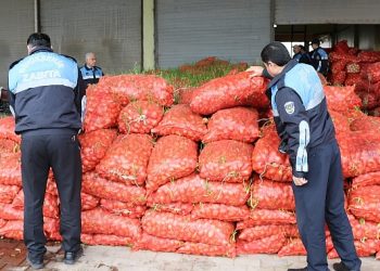 Şanlıurfa’da 22 ton çürümüş soğan ele geçirildi: Belediye ekipleri tarafından imha edildi