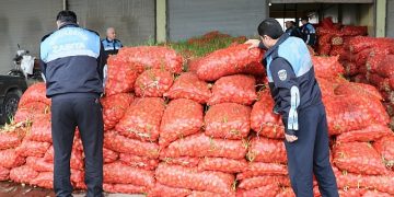 Şanlıurfa’da 22 ton çürümüş soğan ele geçirildi: Belediye ekipleri tarafından imha edildi