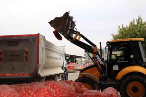 sanliurfa da 22 ton curumus sogan ele geciril habermeydan