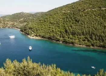 Erdoğan imzaladı: Doğal sit alanı olan Lale Adası Kuzeyi Mevkii, kesin korunacak hassas alan ilan edildi; Bodrum’da bazı alanlar orman sınırları dışına çıkarıldı