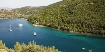 Erdoğan imzaladı: Doğal sit alanı olan Lale Adası Kuzeyi Mevkii, kesin korunacak hassas alan ilan edildi; Bodrum’da bazı alanlar orman sınırları dışına çıkarıldı