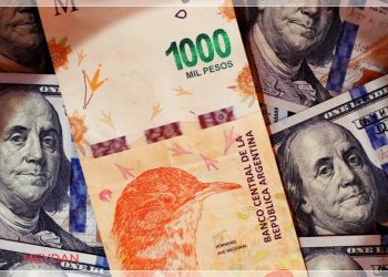 Brezilya ve Arjantin, Ortak Para Birimi Tasarlıyor!