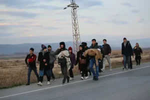 gocmen sayisi habermeydan