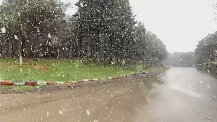 istanbul kar habermeydan