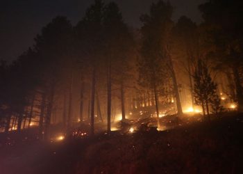 Kaz Dağları’nda örtü yangını çıktı