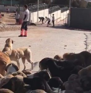 konya barinak saniklari habermeydan 1
