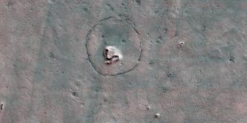 Mars’ta bir ‘Ayı’ keşfedildi