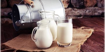 2023’te Verilecek Çiğ Süt Desteğinin Şartları Belirlendi!