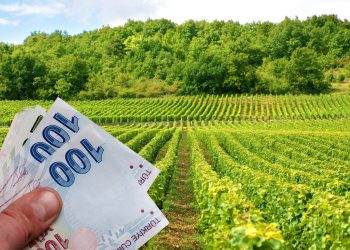 Bakan Kirişçi açıkladı: Tarımsal destek ödemeleri yatırılıyor