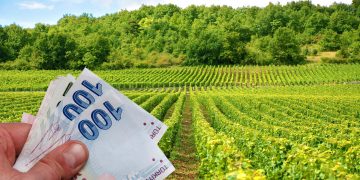 Bakan Kirişçi açıkladı: Tarımsal destek ödemeleri yatırılıyor