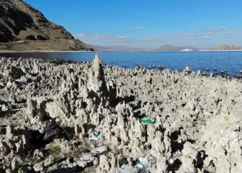 Van Gölü’nde sular çekildi, ortaya çıkan manzara şaşırttı
