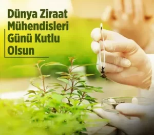 ziraat muhendisleri gunu habermeydan 2 e1673380775338