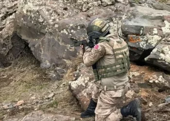 2 PKK’lı terörist ikna yoluyla teslim oldu