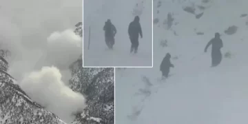 Hakkari’den çığ görüntüleri