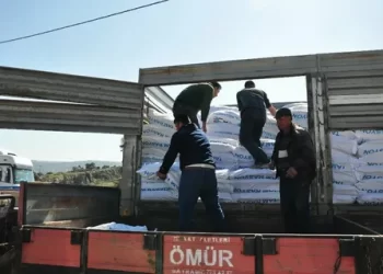 Muş Valiliği depremzede besicilere 250 ton yem desteğinde bulundu