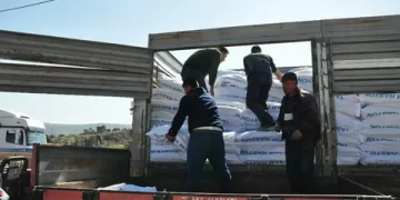 Muş Valiliği depremzede besicilere 250 ton yem desteğinde bulundu