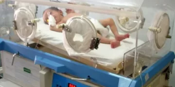 Adıyaman’da depremden kurtuldu Muş’ta doğum yaptı