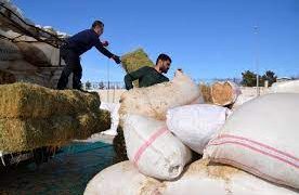 Muş İl Tarım ve Orman Müdürlüğü deprem bölgesine 85 ton yem desteğinde bulundu