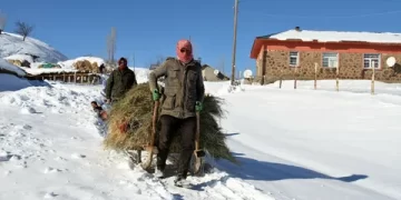 Muş’un Varto ilçesinde hava buz gibi