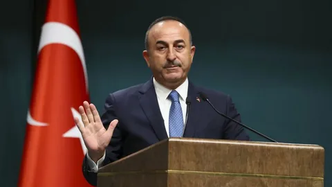 bakan cavusoglu konsolosluk gorusmesi habermeydan